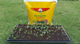 Seeds Starter Bundle