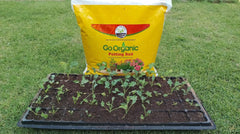 Seeds Starter Bundle