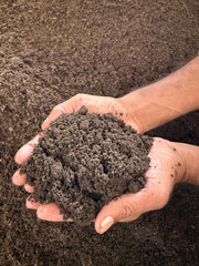 Organic Compost (3 Kg)