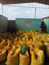 Bulk Bundle