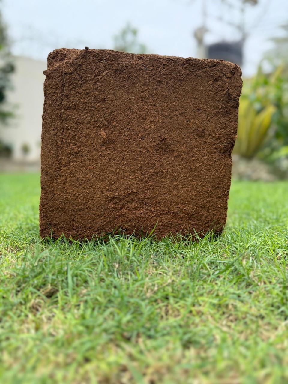 Cocopeat Block (5 kg)