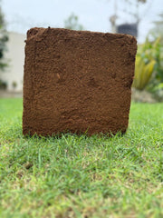 Cocopeat Block (5 kg)